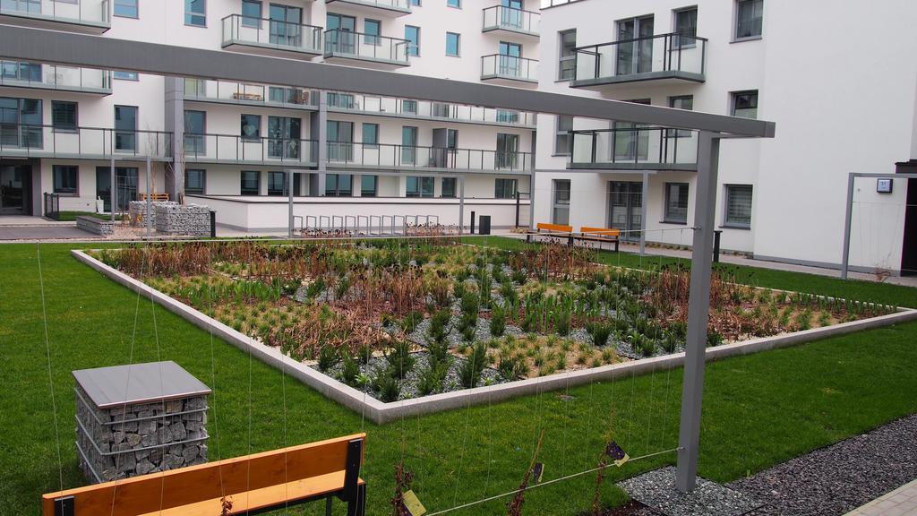 Svoboda Apartament Gdańsk Eksteriør bilde
